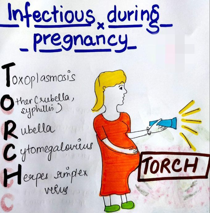 Pregnancy