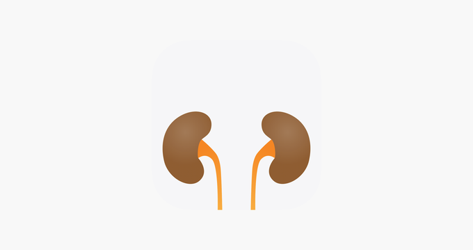 Renal dose adjustment