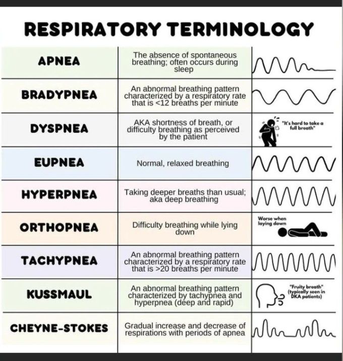 Respiratory Terminologies