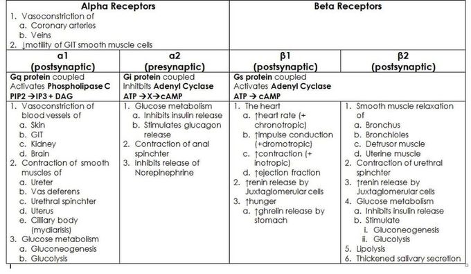 Alpha and Beta Receptors