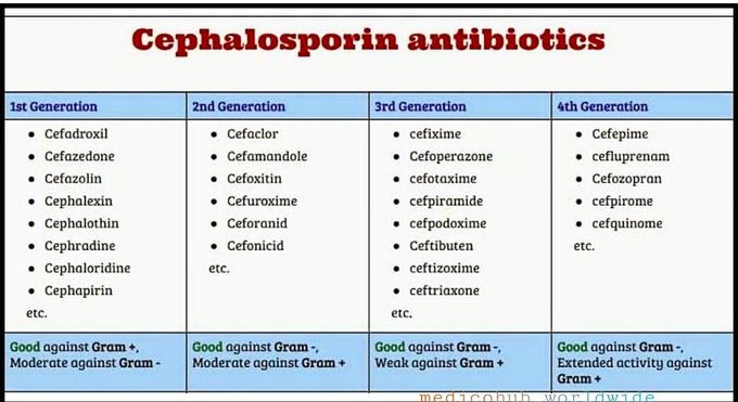 Cephalosporins Antibiotics