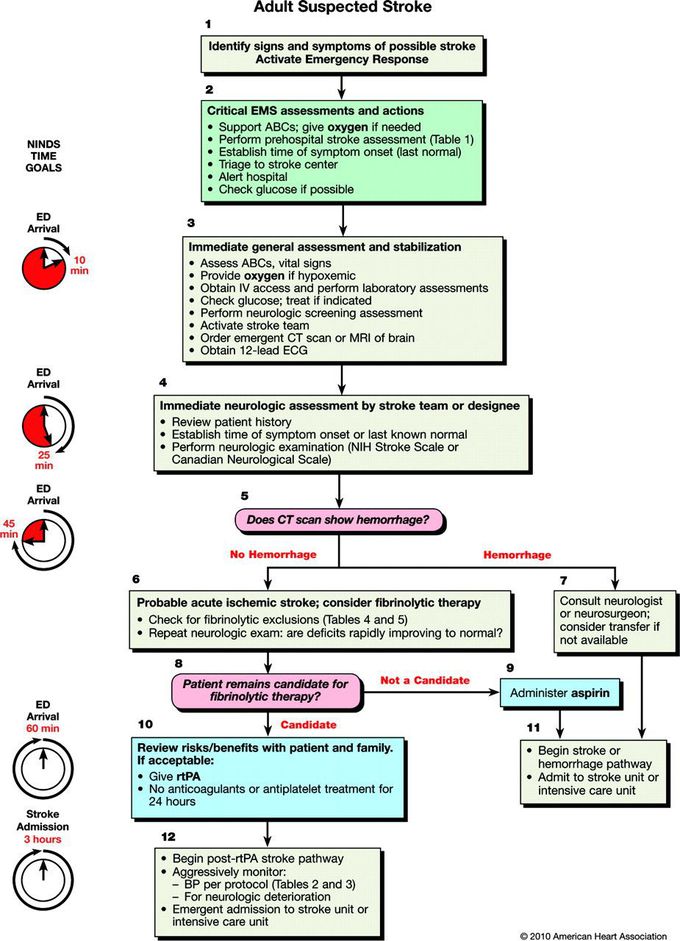 Management of Adult Suspected Stroke