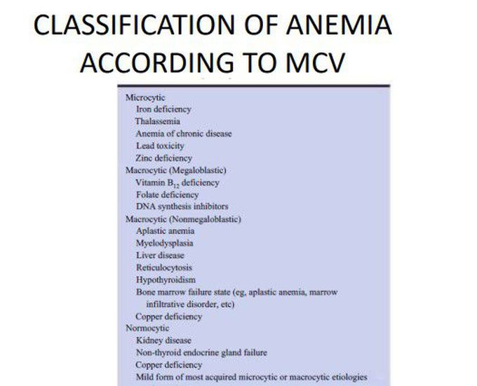 Anemia according to MCV