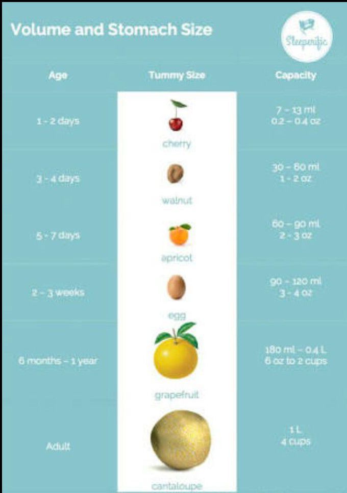 Stomach capacity