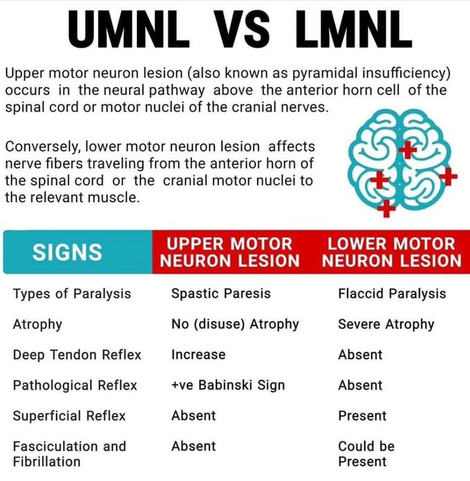 UMNL Vs LMNL