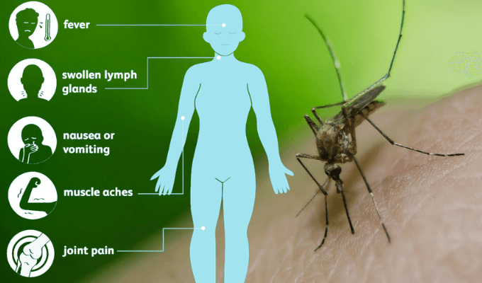 Symptoms of West Nile virus