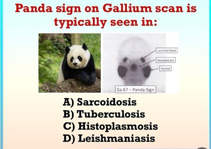 Panda Sign