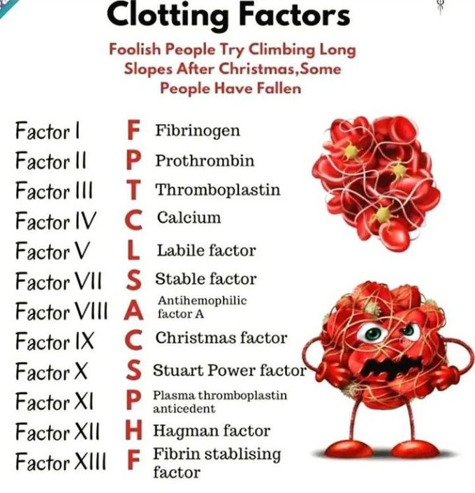 Clotting factors