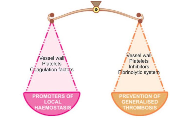 The haemostatic balance