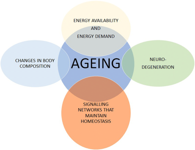 The natural processes of aging.