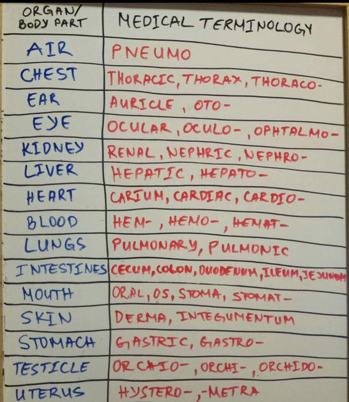 Medical terminology - MEDizzy