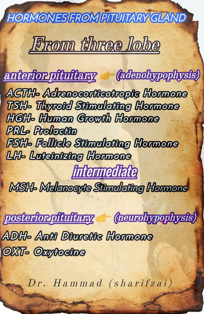 Hormones from pituitary gland