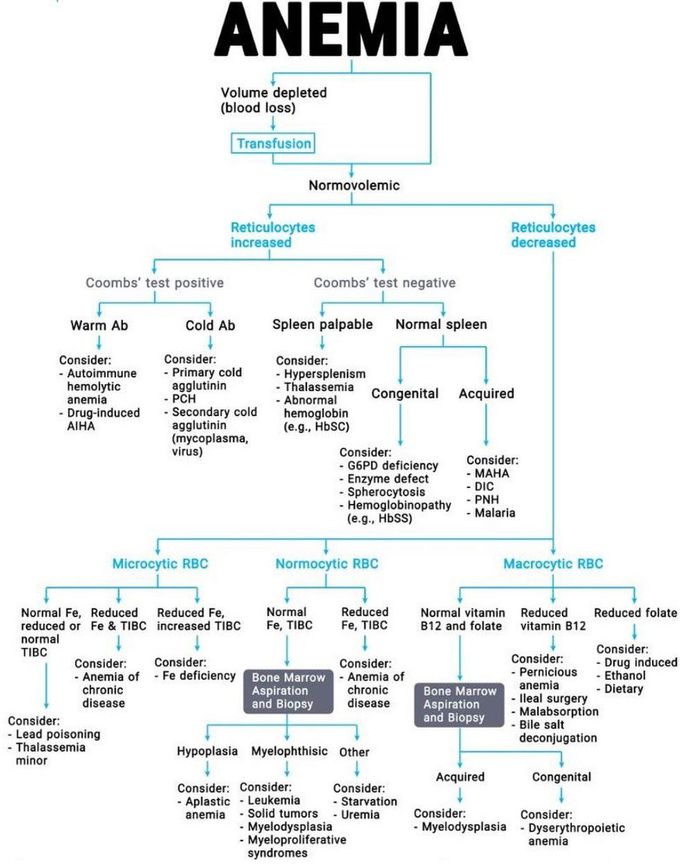 Anemia