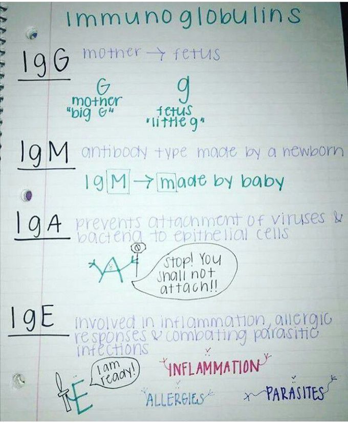 Immunology