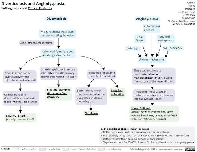 Diverticulosis and Angiodysplasia