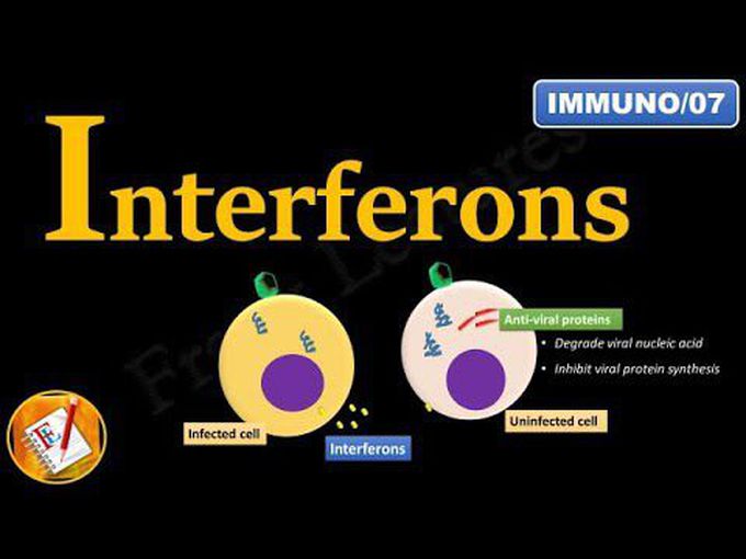 Interferons: Overview