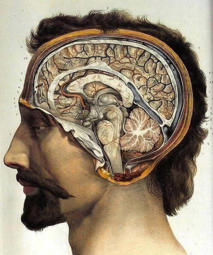 An incredible Medical Art! 