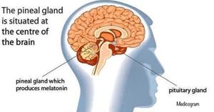 What Is Melatonin?melatonin Is A Natural Hormone Made By - Medizzy