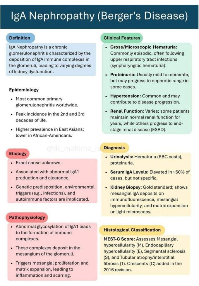 IgA Nephropathy II