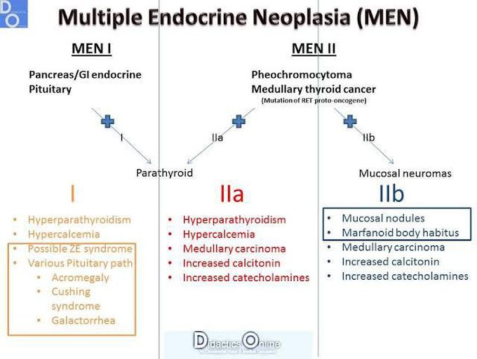 Multiple Endocrine Neoplasia