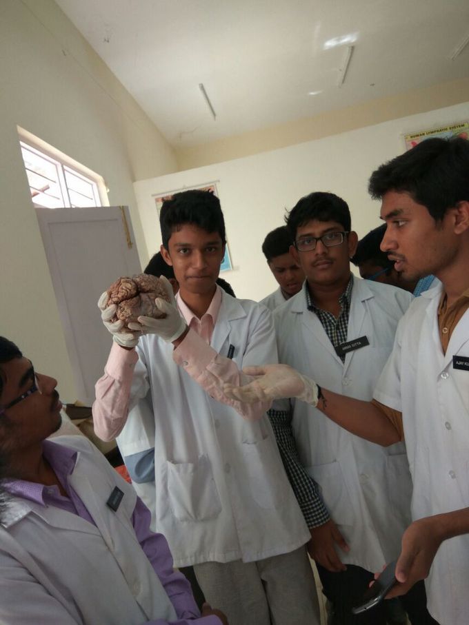 dissecting brain..... #dissection class #good experience