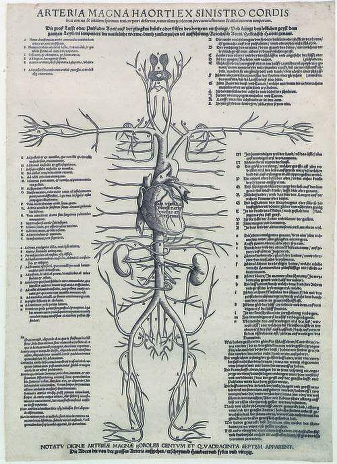 "De Tabulae Anatomicae"