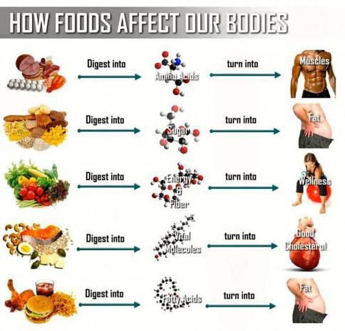 Food Affect Our Body MEDizzy