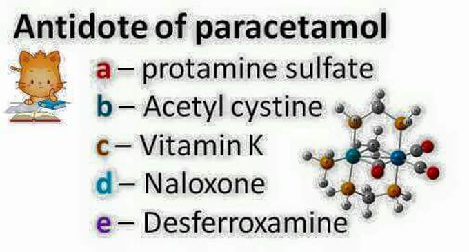 Choose the correct answer!