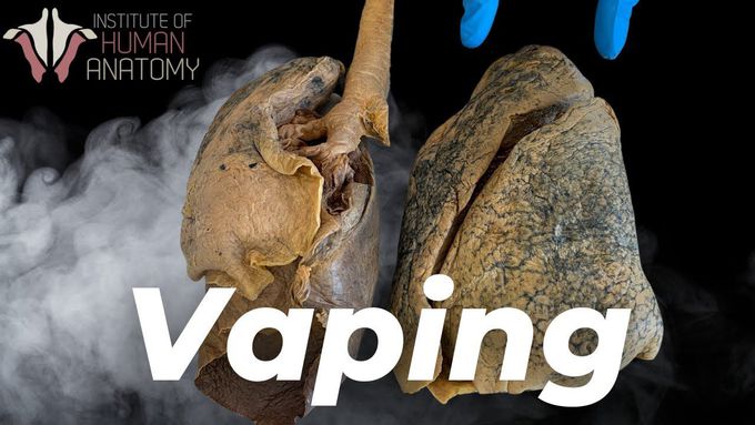 What Vaping Does to the Human Body?