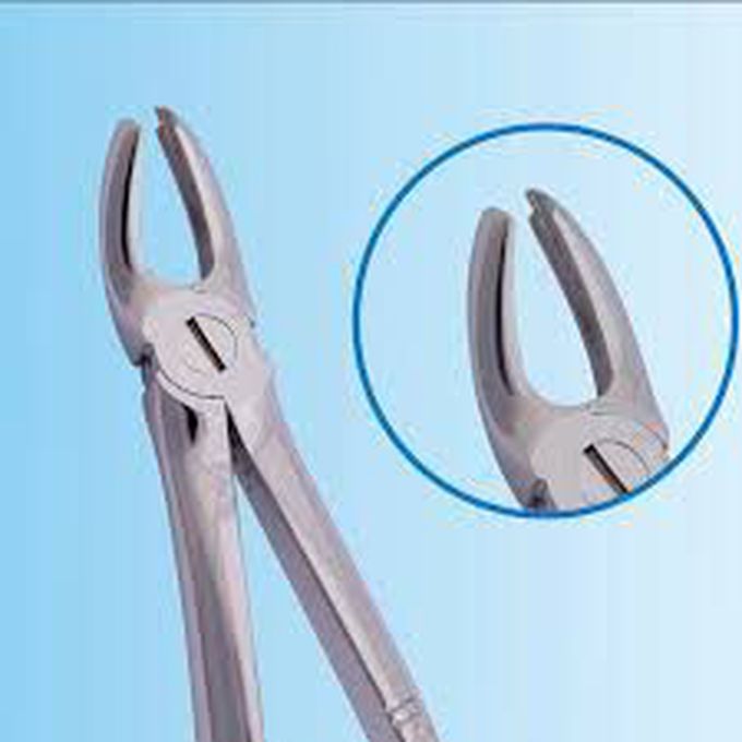 Upper molar forcep uses