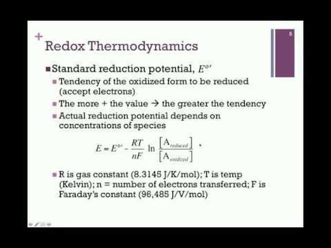 Thermodynamics of the Electron Transport Chain