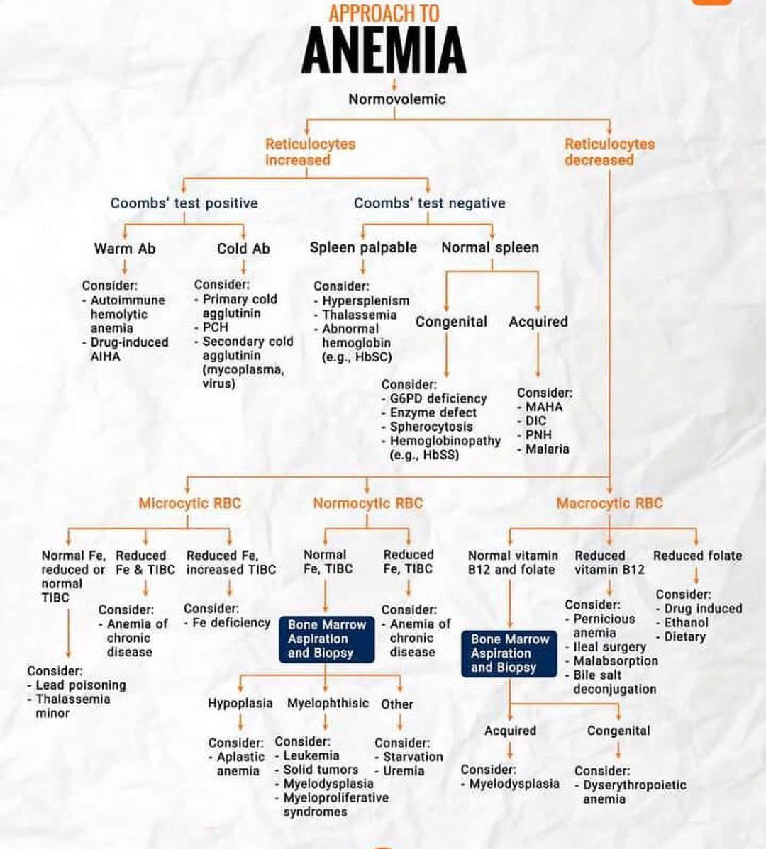 Approach To Anemia MEDizzy   83b772c3 5311 4bbf B772 C353114bbff8