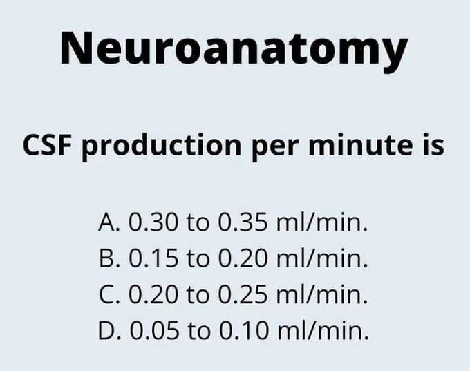 CSF Production