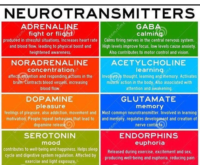Neurotransmitters
