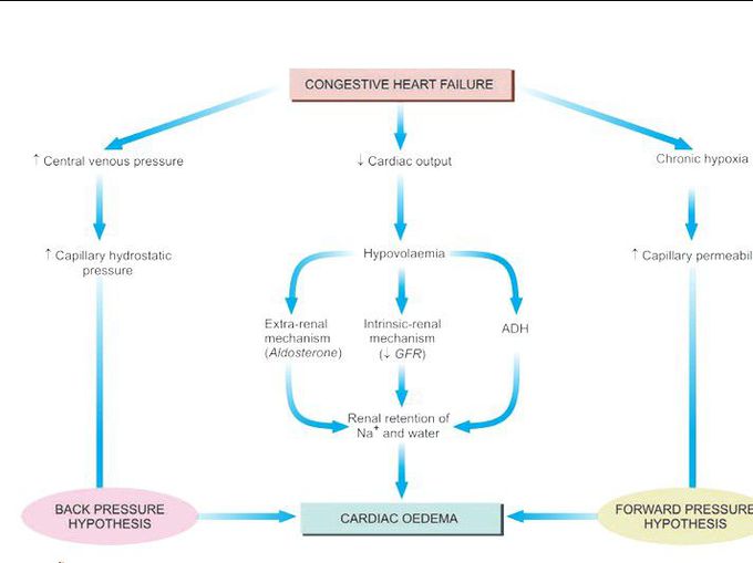 Cardiac oedema