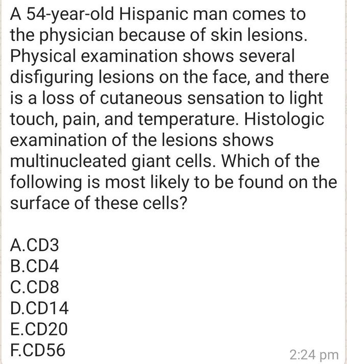 Derma