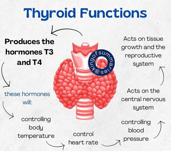 Thyroid Functions