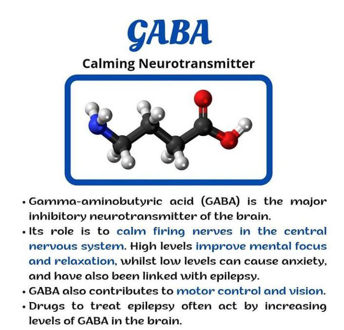 GABA-The Calming Neurotransmitter