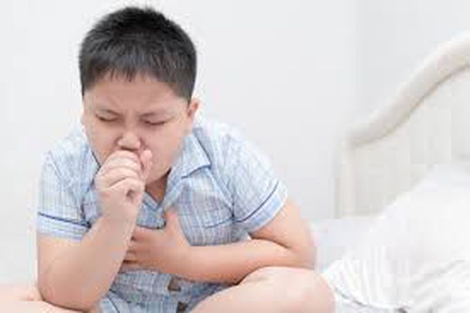 Treatment of whooping cough