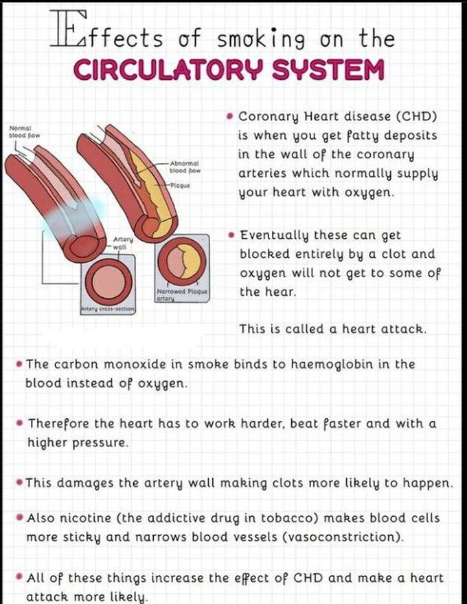 Circulatory system and smoking