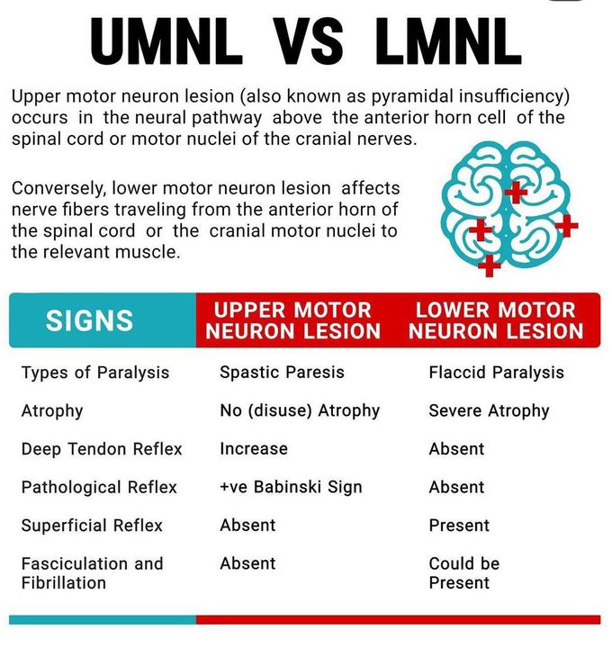 UMNL Vs LMNL