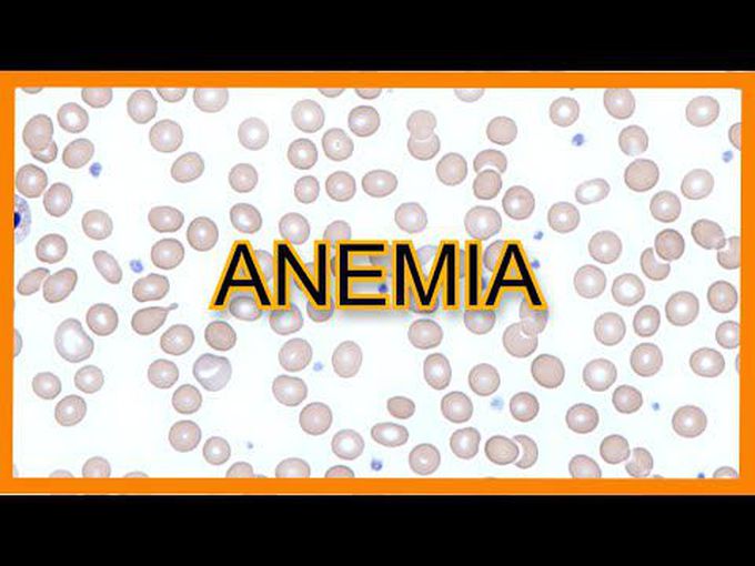 Pathophysiology of anemia