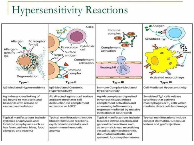 Hypersensitivity reactions