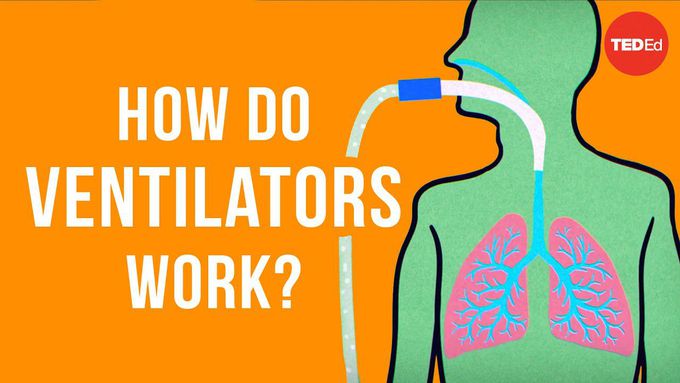 How do ventilators work?