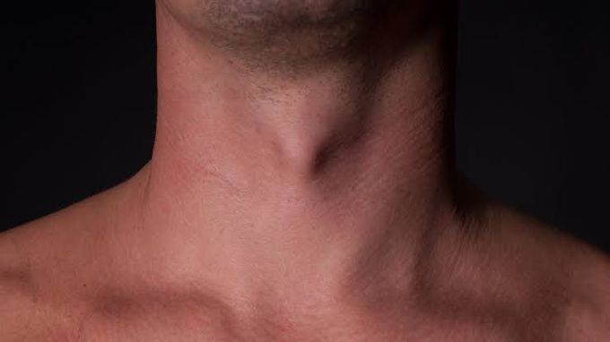 where-is-the-adams-apple-located-medizzy