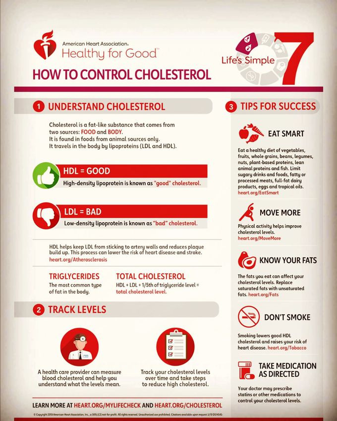 Cholesterol - MEDizzy