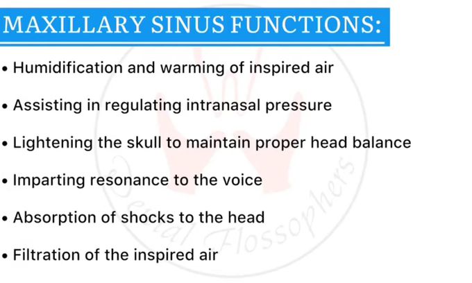 Maxillary Sinus -Functions