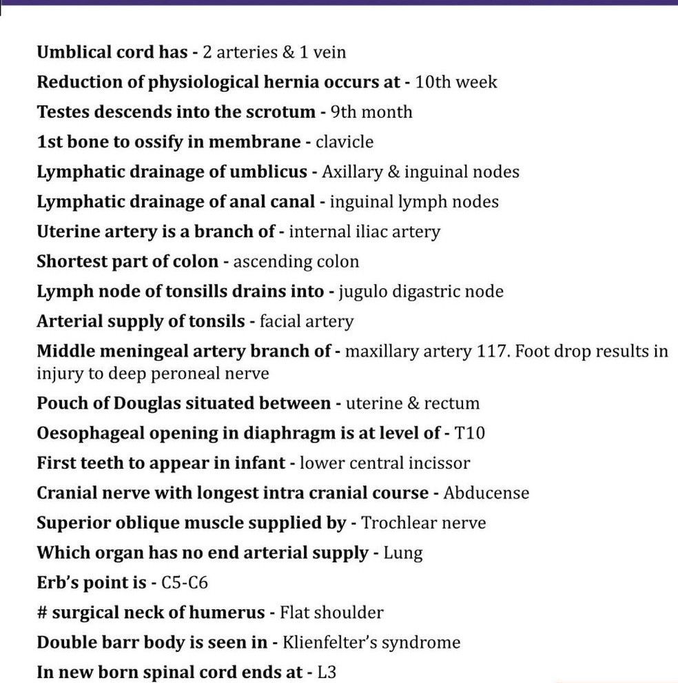 Anatomy Ii Medizzy