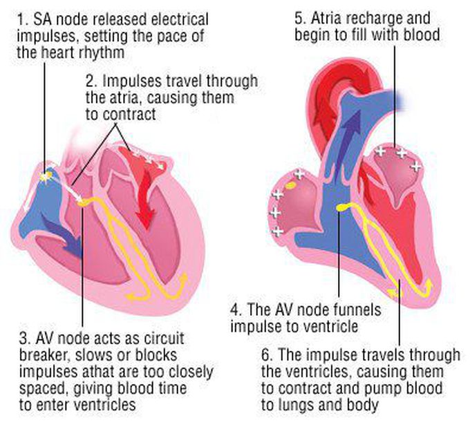 Treatment for Heart arrhythmias