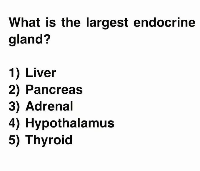Largest Endocrine Gland